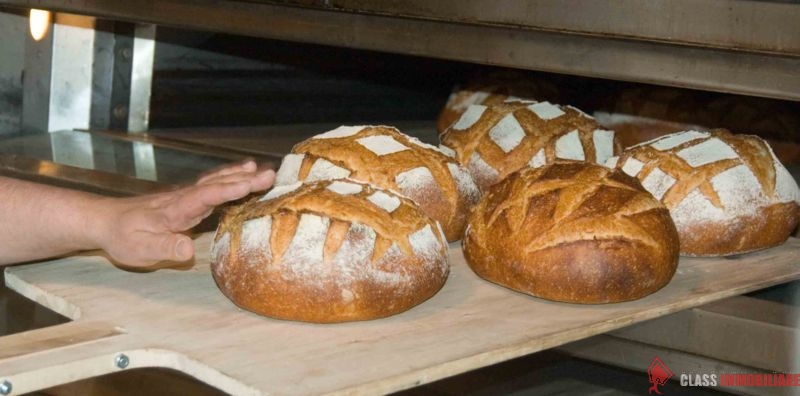 FORNO  PER PANIFICAZIONE PERUGIA