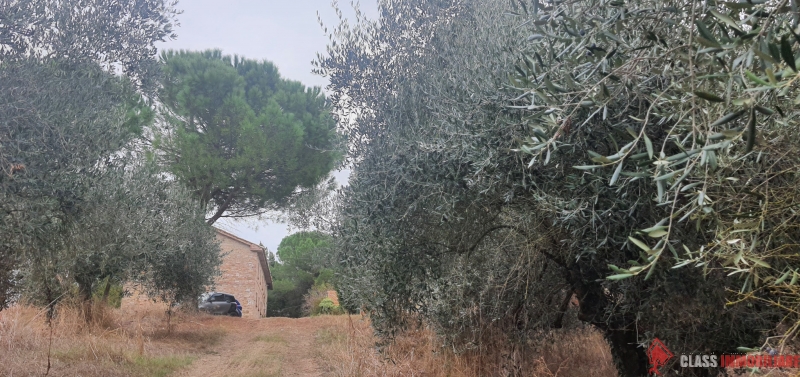 ZONA PILA CASALE RUSTICO DI CIRCA 450 MQ DA RISTRUTTURARE CON TERRENO DI CIRCA 3500 MQ E OLTRE.