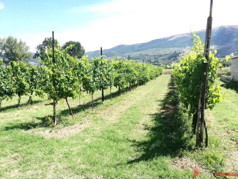 VIGNA E TERRENO AGRICOLO A CANNAIOLA TREVI